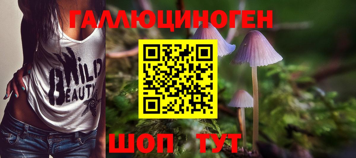 Псилоцибиновые грибы Magic Shrooms Шали